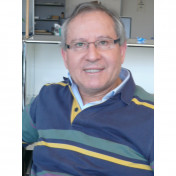 freiberufler Consultant SAP FICO auf freelance.de