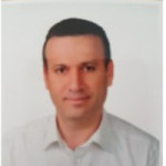 Freiberufler -Senior SAP FI/CO Consultant/ProjectLeiter