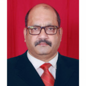 freiberufler SAP S/4 SD/MM Consultant auf freelance.de