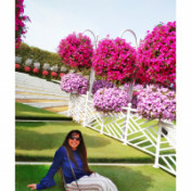 freiberufler SAP BW /4 HANA Consultant- Immediately Available auf freelance.de