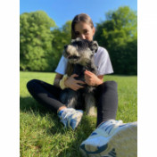 freiberufler Social Media/Online Marketing Assistenz auf freelance.de