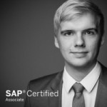 Freiberufler -SAP Basis Technologie Berater