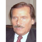 Freiberufler -beratender Betriebswirt, Bereich Vertrieb