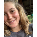 Freiberufler -Writer, Translator