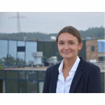 Freiberufler -PMO / Business Analyst / Sustainability Consultant
