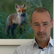 freiberufler SiGe-Koordination, Fachkraft für Arbeitssicherheit auf freelance.de