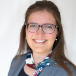 Freiberufler -Information Security Auditor and Consultant