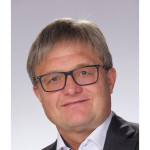 Freiberufler -Senior IT Consultant