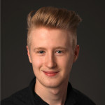 Freiberufler -Software / Systemdeveloper