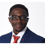 Freiberufler -IT-Berater