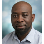 Freiberufler -junior Web/softwareentwickler