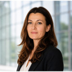 Freiberufler -IT Projektleiter/Prozessmanager/Senior Consultant