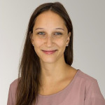 Freiberufler -IT Consultant / Information Security Officer