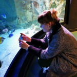 Freiberufler -Mediadesigner + Webdesigner