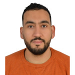 Freiberufler -Senior System Engineer