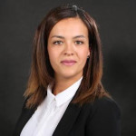 Freiberufler -Senior Manager General Ledger