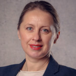 Freiberufler -Senior IT Project Manager || IT Portfolio Manager