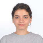 Freiberufler -Data Analyst/Engineer