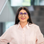 Freiberufler -IT Project Manager