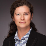 Freiberufler -IT-Beratung/Senior Web-Developer