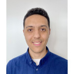 Freiberufler -Funktionale Sicherheit Ingenieur