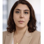 Freiberufler -Embedded Software Development Engineer