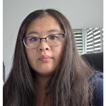 Freiberufler -Finanzbuchhalter