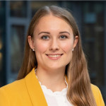 Freiberufler -Product Development & Strategy, Project & Interim Management