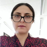 Freiberufler -Data Analyst,