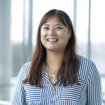 Freiberufler -Senior Project Management Expert