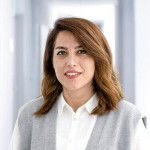 Freiberufler -Computer Engineer