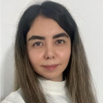 Freiberufler -Software Engineer | Python & Data Analytics