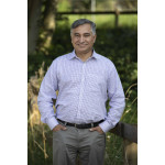 Freiberufler -Digital IC Design /FPGA Design Consultant