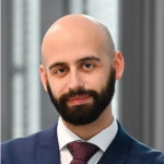 Freiberufler -IT-Berater E-Government & Prozessdigitalisierung