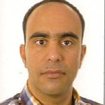 Freiberufler -Senior Component Development Leader & Technical Lead Engineer