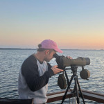 Freiberufler -GIS-Spezialist | QGIS & ArcGIS Pro | Geodatenanalyse, Kartographie & Umweltplanung