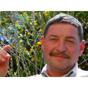 freiberufler Texter auf freelance.de