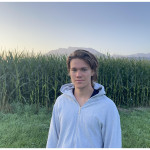 Freiberufler -SEO- & Content-Manager