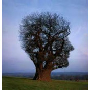 freiberufler freelancer -creating und korrektur der Texte;uebersetzungen auf freelance.de