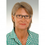 Freiberufler -Projektleitung /-controlling