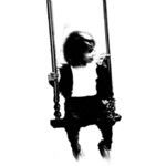 Freiberufler -Flash & Web Entwicklung, Motion Design, Grafik