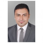 Freiberufler -Experte Einkauf, Entwicklungsprozesse, Projektingenieur, Projektleitung, PMO