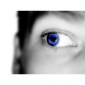 freiberufler Videoschnitt Avid Media Composer / Animatonen After Effects auf freelance.de