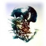 Freiberufler -Professionelles Grafik-Designer & Künstlerin