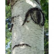 freiberufler Lektorat und Korrektorat auf freelance.de